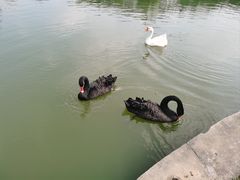 -安徽大学(磬苑校区)