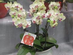 -运河通源农贸市场