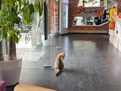 -加伍磅精英训练中心