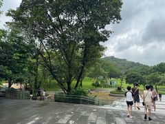 -莲花山公园