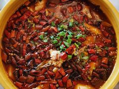 -陈麻婆豆腐总店