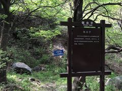 -阳台山自然风景区