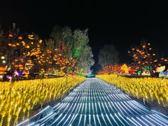 -国际非物质文化遗产博览园