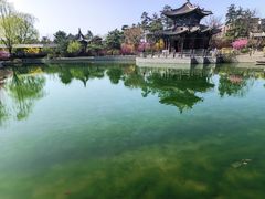 -迎泽公园