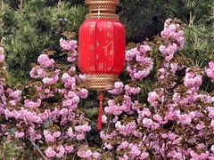 -太阳宫公园