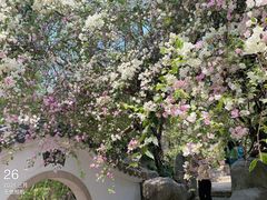 -深圳国际园林花卉博览园