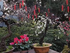 -成都杜甫草堂博物馆