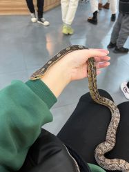 -Moni星球萌宠·小马宝莉·灵蛇·高端高阶全萌宠互动体验俱乐部(红豆国际广场店)