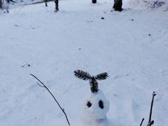 -金鼎雪山牦牛杂火锅(理县总店)