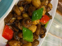 -椿记烧鹅(叠彩店)