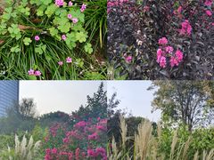 -杭州城北体育公园