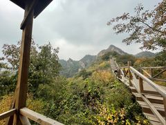 -大岭沟猕猴桃谷风景区