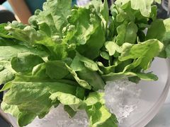 -王家渡火锅店(棕榈泉店)