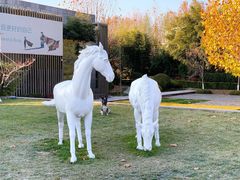 -春晖园度假酒店温泉