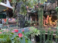 -正佳雨林生态植物园