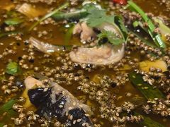 -巴特餐饮6加1音乐餐吧·新疆菜
