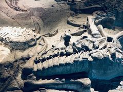 -自贡恐龙博物馆