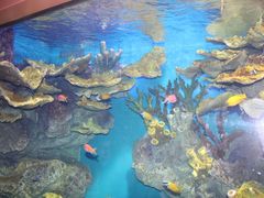 -福州罗源湾海洋世界旅游区