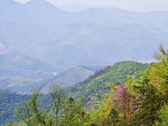 -莫干山风景区