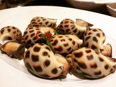 響螺-协成海鲜火锅(情侣路店)