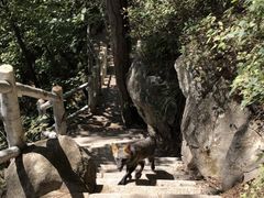 -九鼎铁刹山风景区