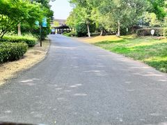 -茅山东方盐湖城景区