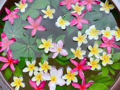 -西双版纳融创皇冠假日度假酒店