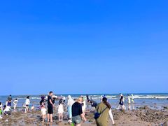 -巧克力渔家.小船海鲜胶东菜(万平口店)