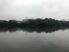 -桂林市榕杉湖景区