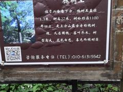 -北京上方山国家森林公园