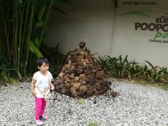 -大象粑粑造纸公园