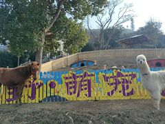 -东海半边山旅游度假区