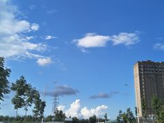 -大公鸡土窑坑烤(宝雍阁·金色欧城店)