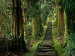 -都江堰景区