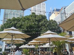 -813芭依珊 BAESAn(皇冠十畝地店)