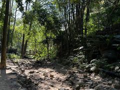 -火炉山森林公园