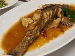 -林之六八·6886大连老菜馆