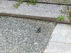 -崂山巨峰游览区