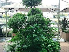 -La Terre乐田(万象城店)