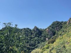 -大岭沟猕猴桃谷风景区