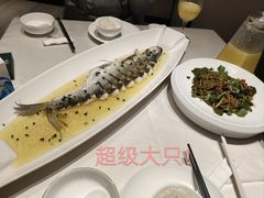 -至尊鲨鱼·原烹海鲜·新浙菜(拱宸桥店)