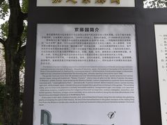 -嘉定紫藤园