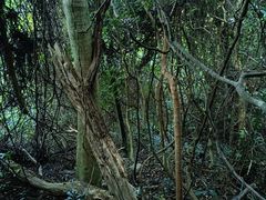-七娘山