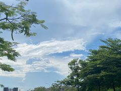 -火炉山森林公园