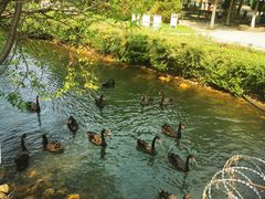 -长白岛森林公园