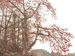 -东山湖公园