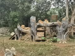-海南热带野生动植物园