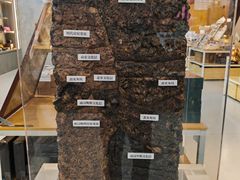 -南越王博物院(王宫展区)