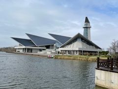 -盐城丹顶鹤湿地生态旅游区