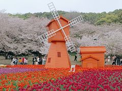 -苏州上方山国家森林公园